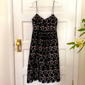 Club Monaco Bolsti Black Lace Overlace Midi Dress